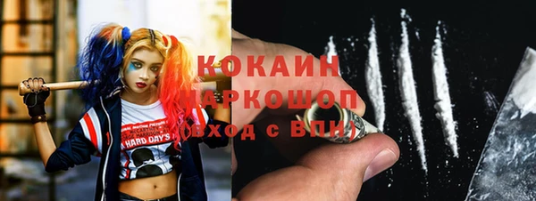 индика Абаза