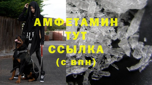 сатива Алексин