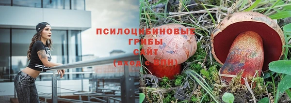 сатива Алексин