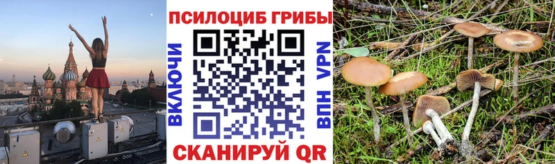 Псилоцибиновые грибы Cubensis Гусь-Хрустальный