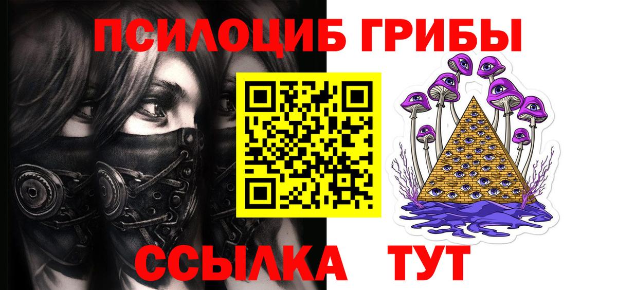 Псилоцибиновые грибы Cubensis  Вход с VPN  Гусь-Хрустальный 
